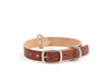 Buckley Dog Collar