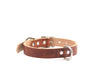 Buckley Dog Collar