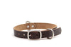 Buckley Dog Collar